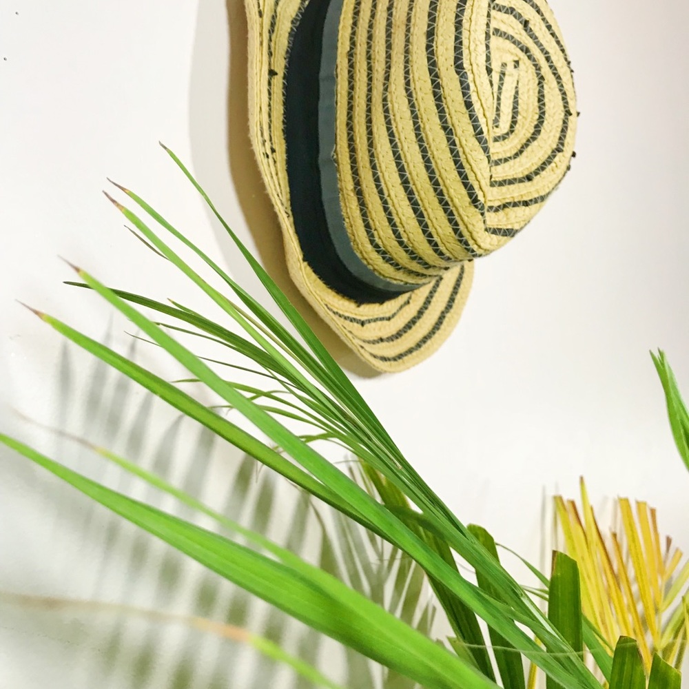 Fedora Hat - Picture 2 of 4
